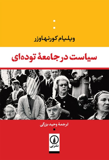 سیاست در جامعه توده‌ای