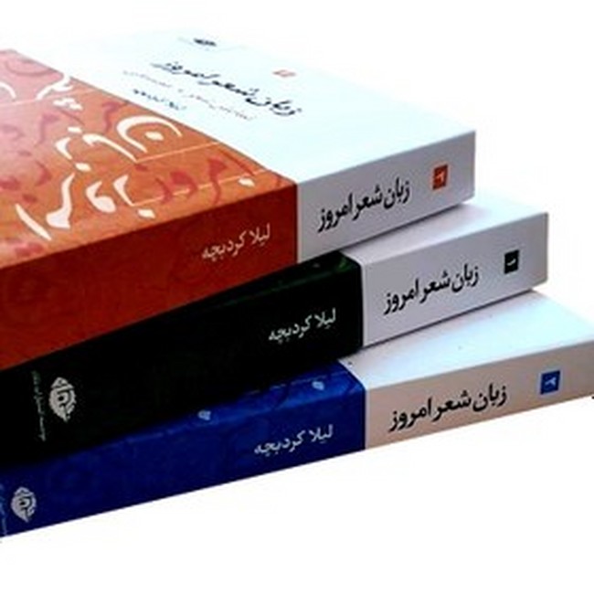 زبان شعر امروز (3جلدی)