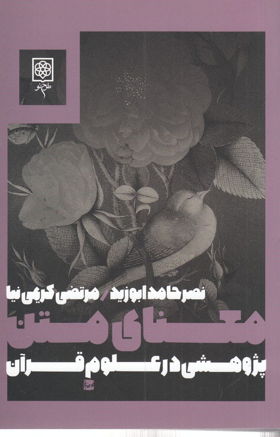 معنای متن (پژوهشی در علوم قرآن)