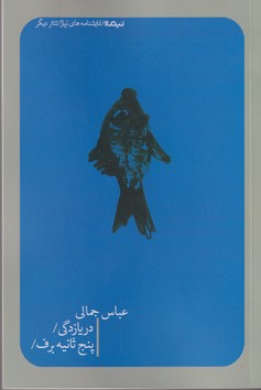 دریازدگی / پنج ثانیه برف