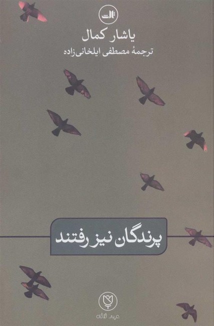 پرندگان نیز رفتند