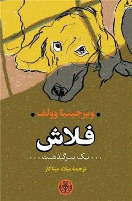 فلاش (یک سرگذشت)