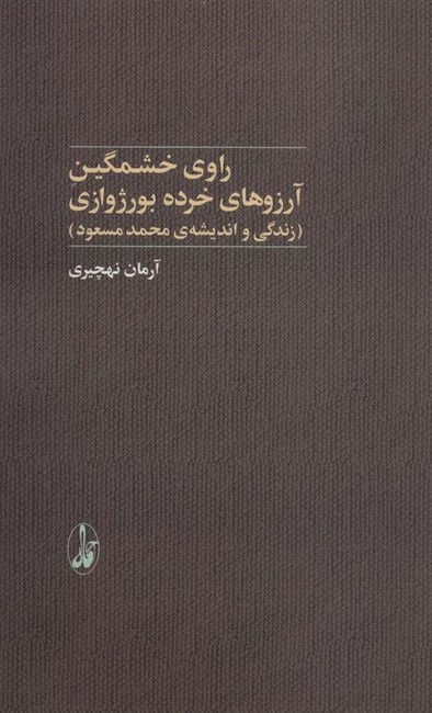 راوی خشمگین آرزوهای خرده بورژوازی