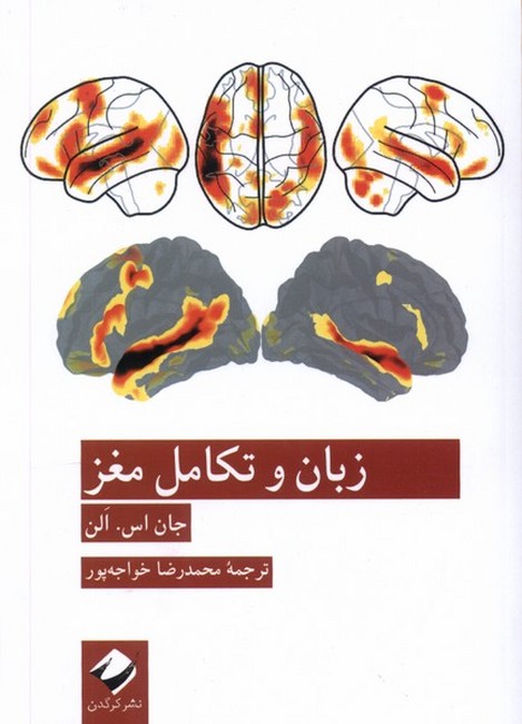 تصویر  زبان و تکامل مغز