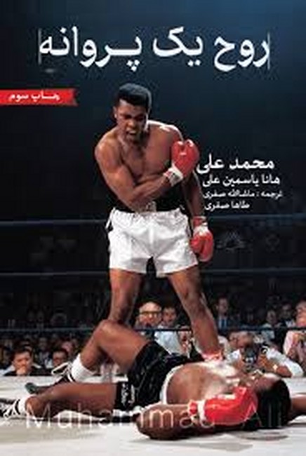 تصویر  روح یک پروانه