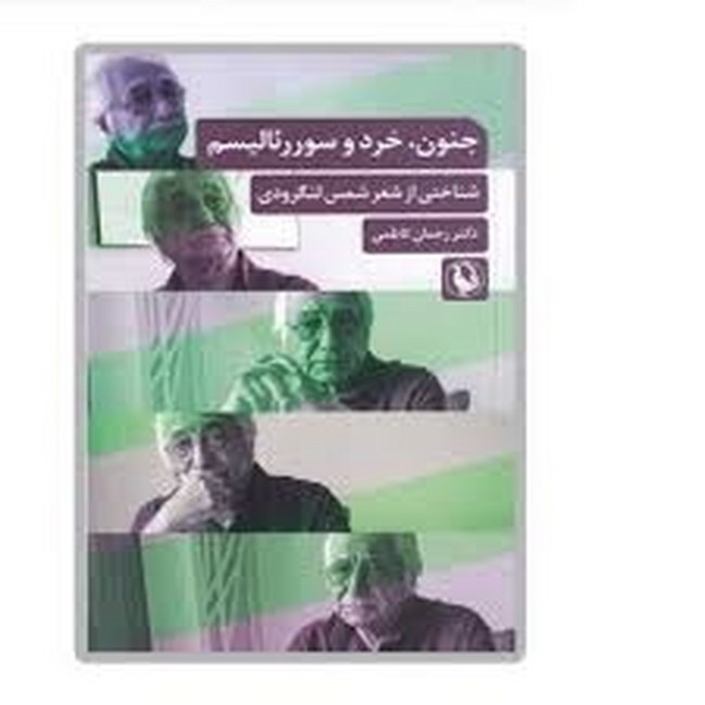 تصویر  جنون ، خرد و سوررئالیسم 