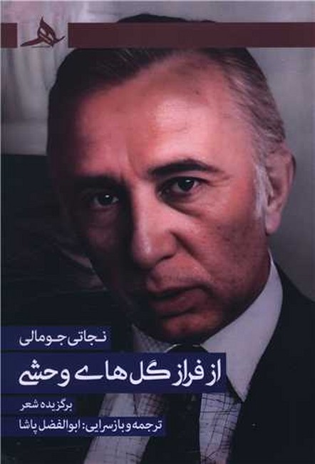 از فراز گل‌های وحشی 