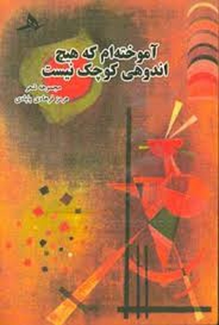 آموخته‌ام که هیچ اندوهی کوچک نیست 
