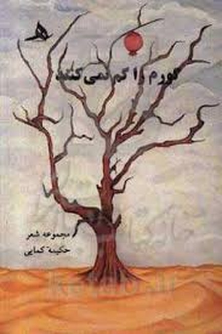گورم را گم نمی‌کنند