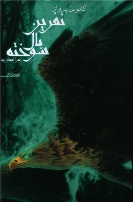 نفرین بال سوخته (جلد اول: کابوس پرواز)