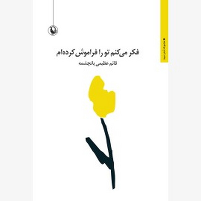 فکر می‌کنم تو را فراموش کرده‌ام