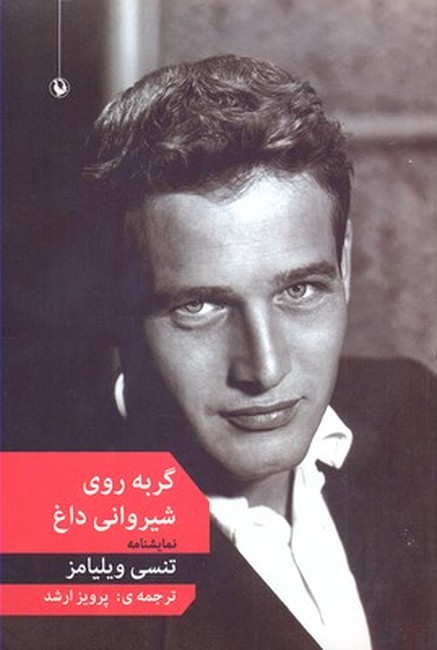 گربه روی شیروانی داغ 