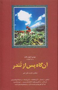 تصویر  آن گاه پس از تندر:منتخب 8 دفتر شعر (شعر معاصر ایران10)،(زرکوب،رقعی،سخن)