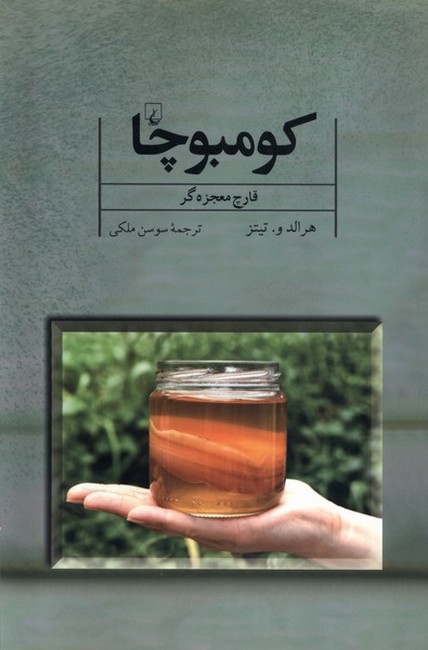 تصویر  کومبوچا (قارچ معجزه‌گر)