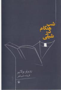 تصویر  شب هنگام در شیلی 
