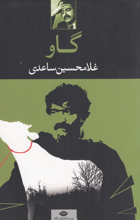 تصویر  گاو