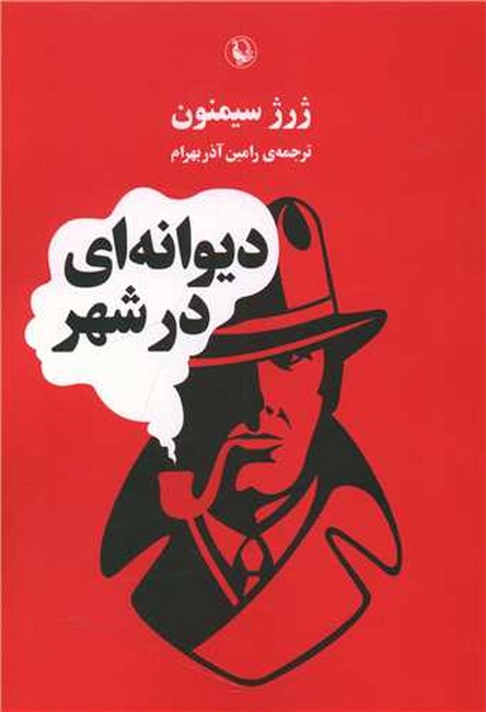 تصویر  دیوانه ای در شهر 